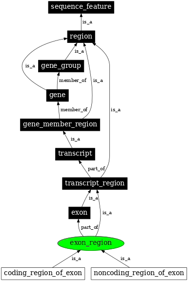 Graph image for SO:0000852