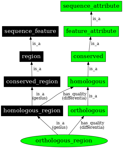 Graph image for SO:0000855