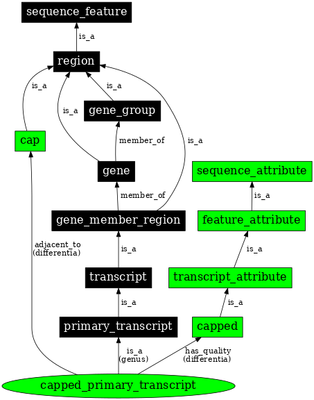 Graph image for SO:0000861