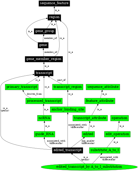 Graph image for SO:0000874