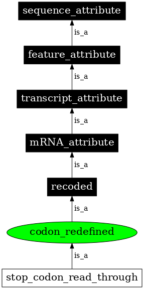 Graph image for SO:0000882
