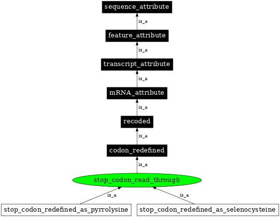 Graph image for SO:0000883