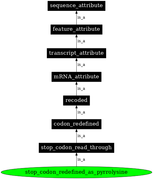 Graph image for SO:0000884