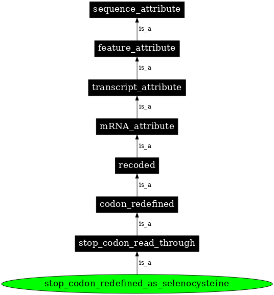 Graph image for SO:0000885