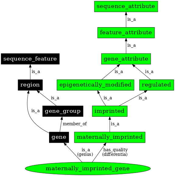 Graph image for SO:0000888