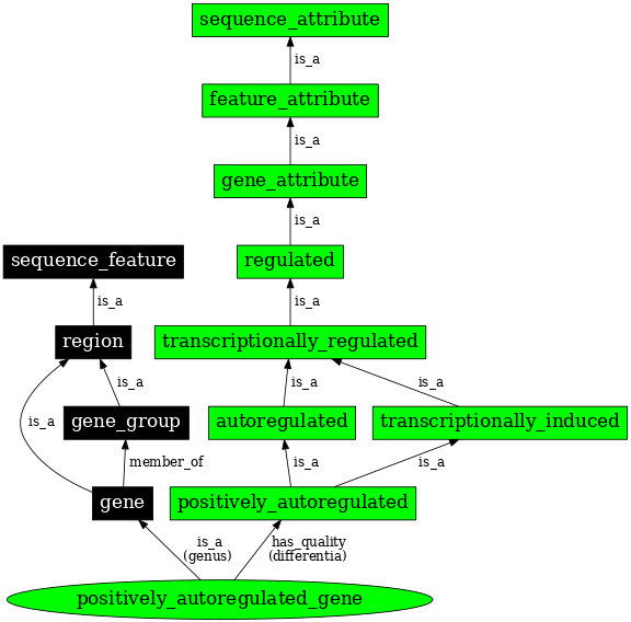 Graph image for SO:0000892