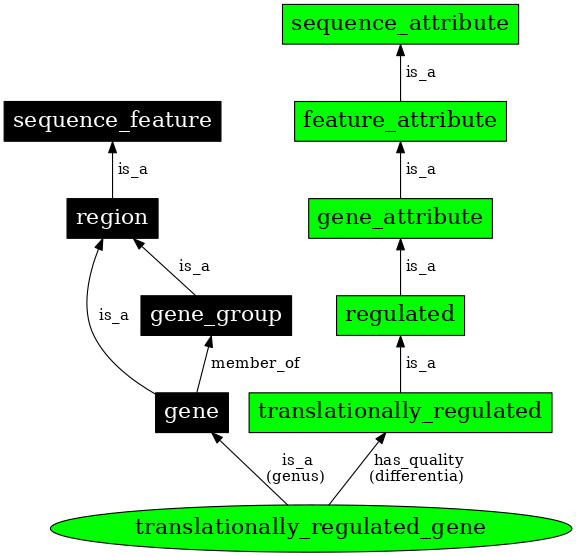 Graph image for SO:0000896