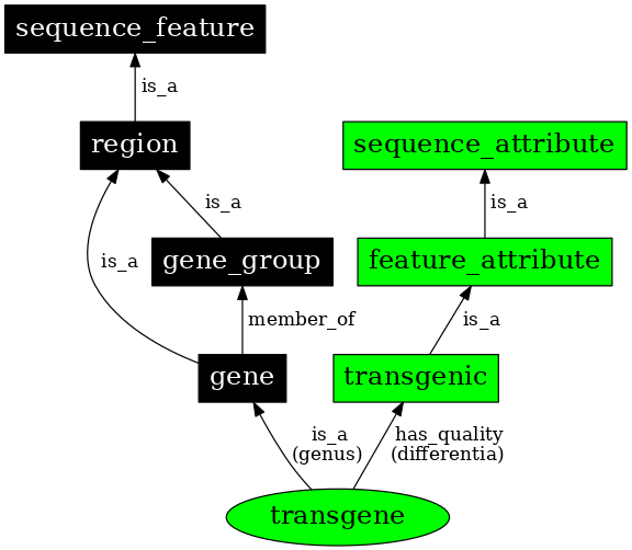 Graph image for SO:0000902