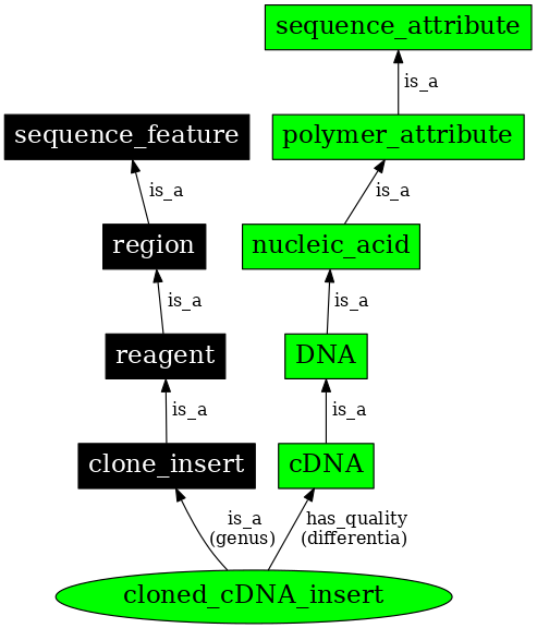 Graph image for SO:0000913