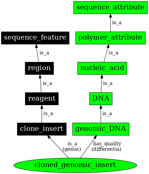 Graph image for SO:0000914