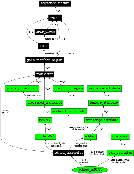 Graph image for SO:0000929