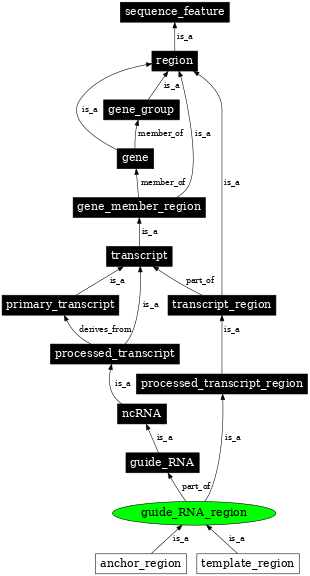 Graph image for SO:0000930