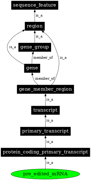 Graph image for SO:0000932