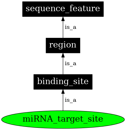 Graph image for SO:0000934