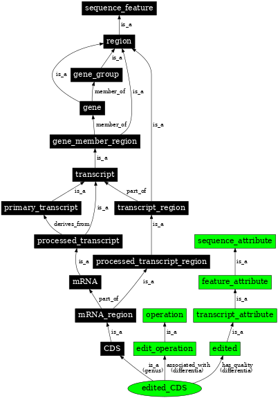 Graph image for SO:0000935