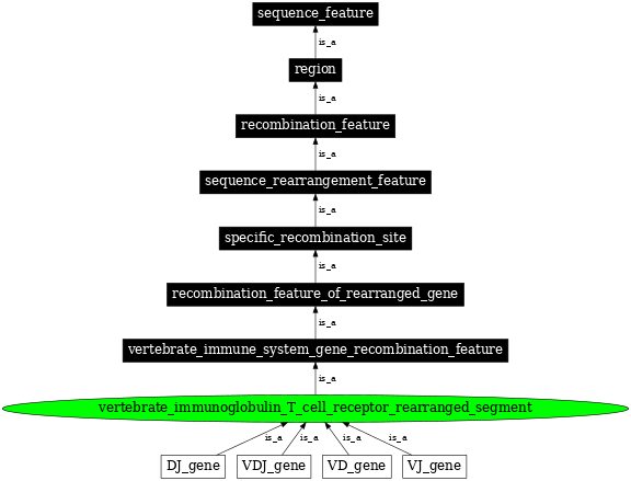 Graph image for SO:0000936