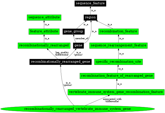 Graph image for SO:0000941