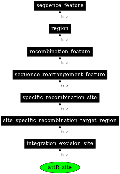 Graph image for SO:0000945
