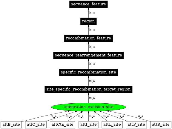 Graph image for SO:0000946