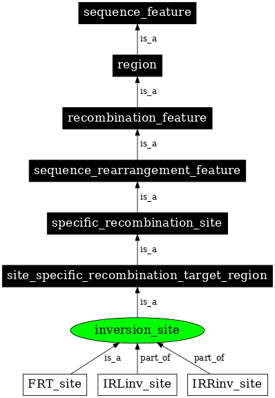 Graph image for SO:0000948
