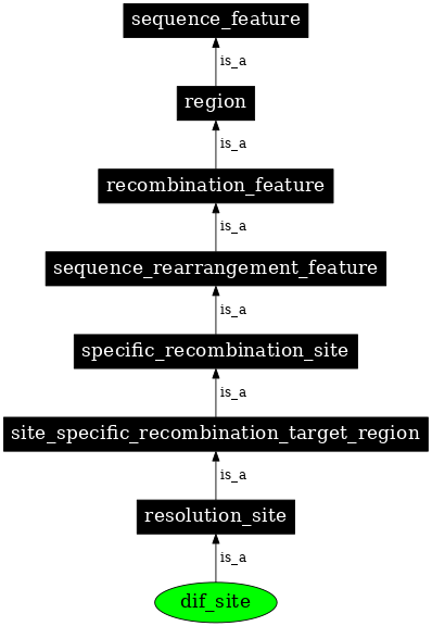 Graph image for SO:0000949