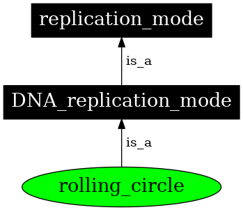 Graph image for SO:0000969
