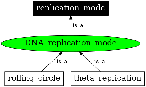 Graph image for SO:0000971