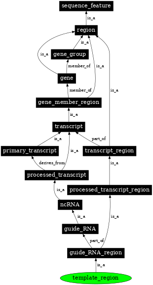 Graph image for SO:0000978