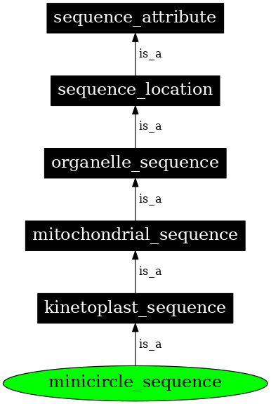 Graph image for SO:0000980