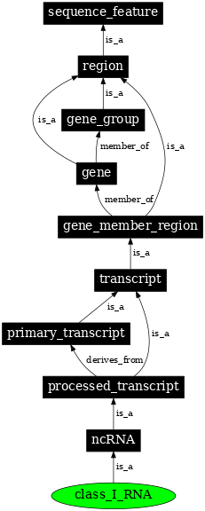 Graph image for SO:0000990