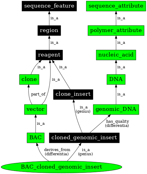 Graph image for SO:0000992