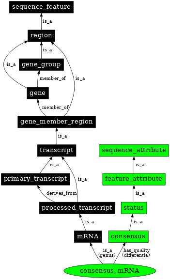 Graph image for SO:0000995