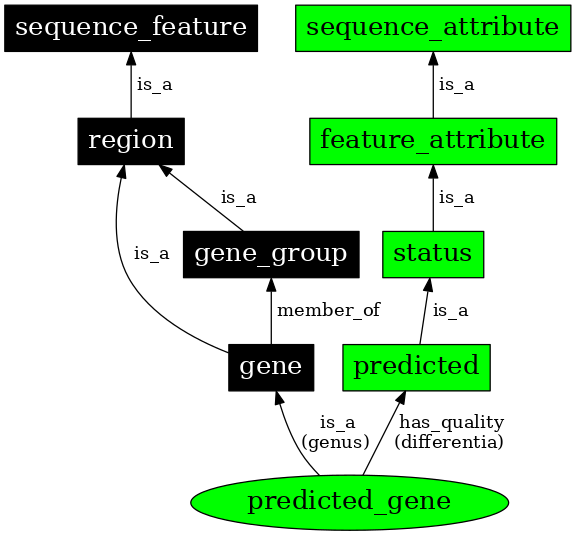 Graph image for SO:0000996