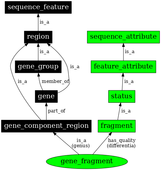 Graph image for SO:0000997