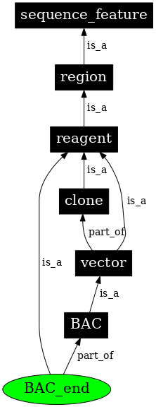 Graph image for SO:0000999