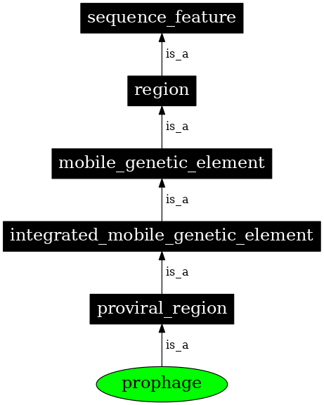 Graph image for SO:0001006
