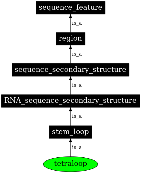 Graph image for SO:0001008