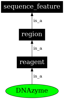 Graph image for SO:0001012
