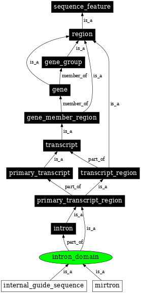 Graph image for SO:0001014