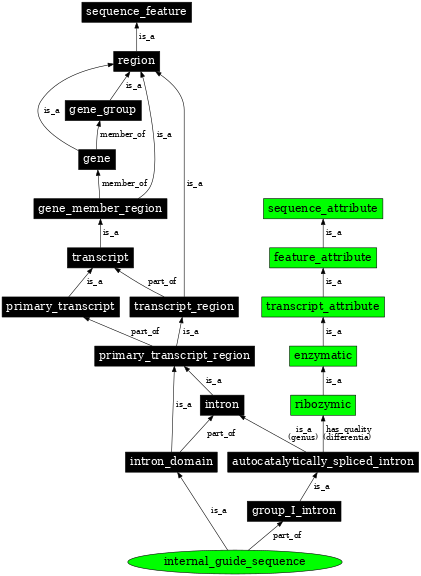 Graph image for SO:0001016