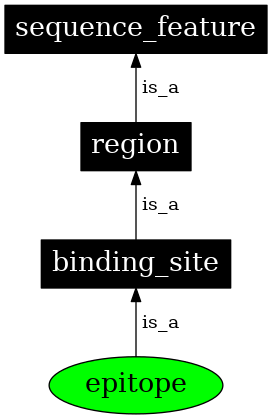 Graph image for SO:0001018