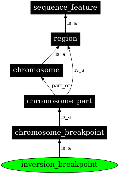 Graph image for SO:0001022