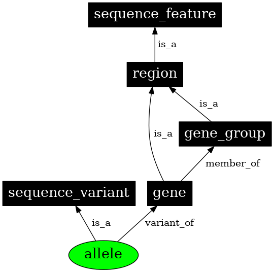Graph image for SO:0001023