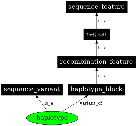 Graph image for SO:0001024