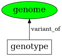 Graph image for SO:0001026