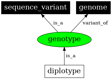 Graph image for SO:0001027