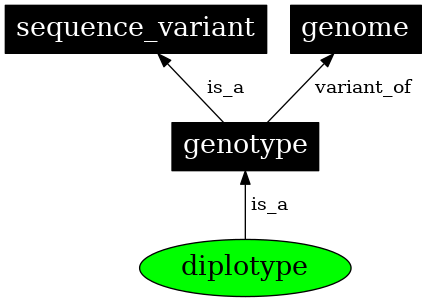 Graph image for SO:0001028