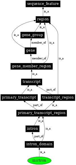 Graph image for SO:0001034