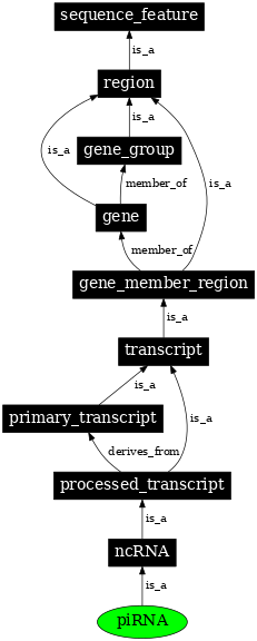Graph image for SO:0001035