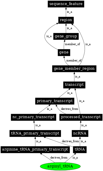Graph image for SO:0001036